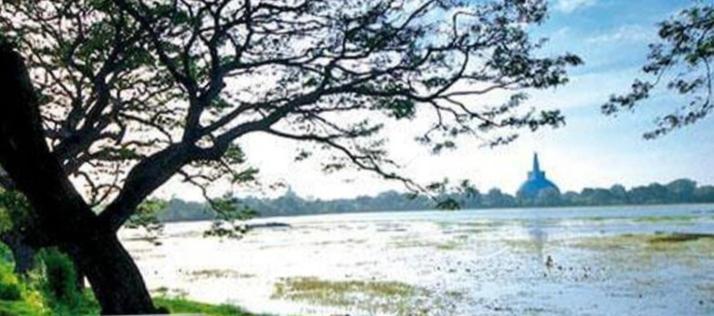 Lucky Holiday Home Anuradhapura Buitenkant foto