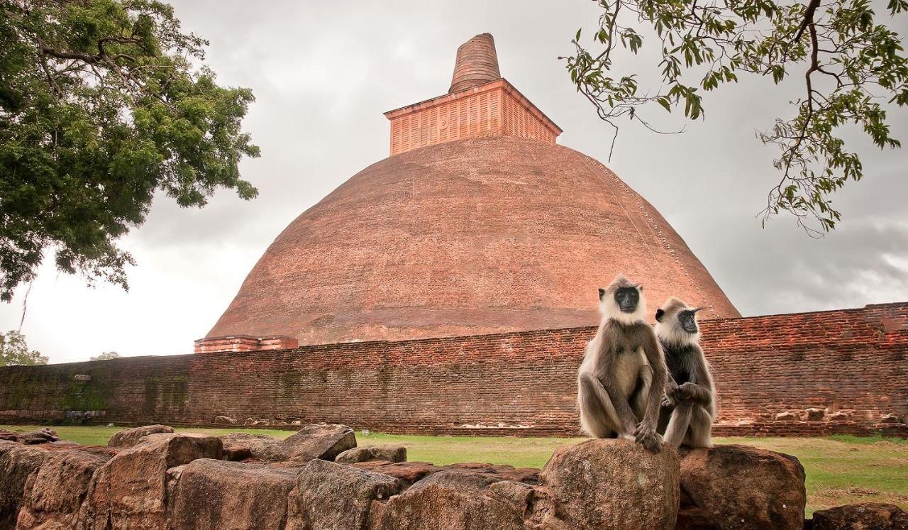 Lucky Holiday Home Anuradhapura Buitenkant foto