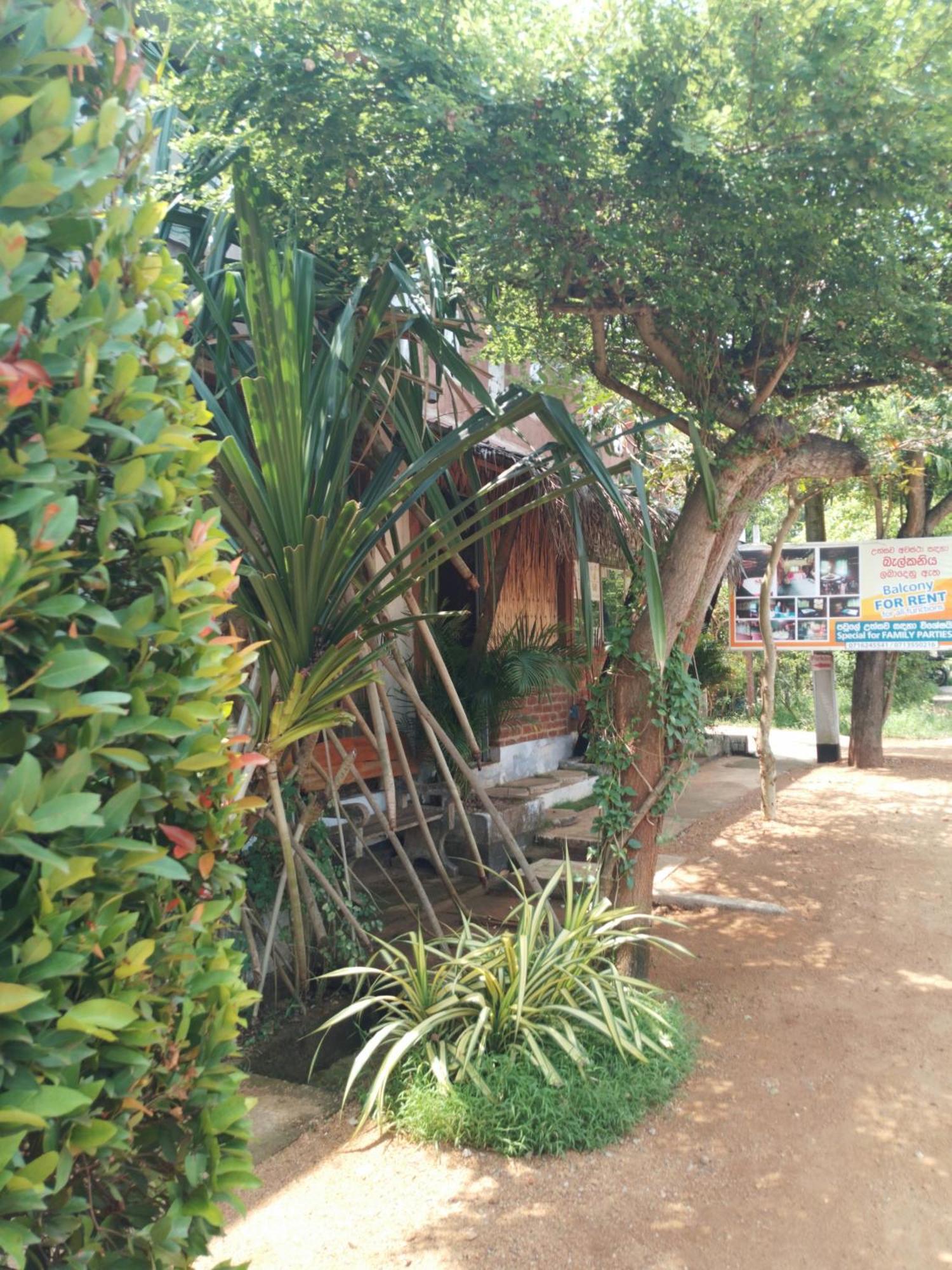Lucky Holiday Home Anuradhapura Buitenkant foto